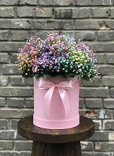 Цветочная композиция из Гипсофила и Розы в шляпной коробке #REPLACE_PRED# Посёлок совхоза Красковский