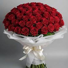 Букет 101 Красная роза Блэк Мэджик в Посёлок совхоза Красковский