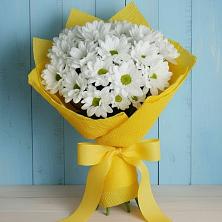 Букет цветов из:  Хризантемы в Посёлок совхоза Красковский