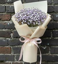 Букет цветов из:  Гипсофила в Посёлок совхоза Красковский