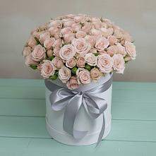 Цветочная композиция из Розы в шляпной коробке в Посёлок совхоза Красковский