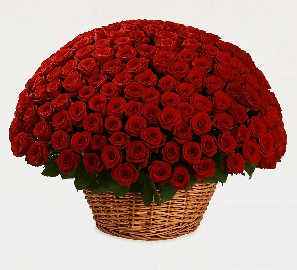 Премиум букет из: Розы в Посёлок совхоза Красковский