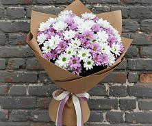 Букет цветов из:  Хризантемы #REPLACE_PRED# Посёлок совхоза Красковский