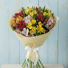 Букет цветов из:  Альстромерии в Посёлок совхоза Красковский