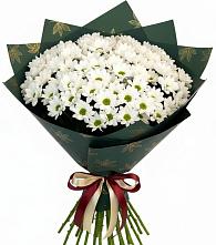 Букет цветов из:  Хризантемы в Посёлок совхоза Красковский