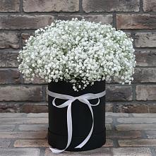 Цветочная композиция из Гипсофила в шляпной коробке #REPLACE_PRED# Посёлок совхоза Красковский