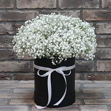 Цветочная композиция из Гипсофила в шляпной коробке в Посёлок совхоза Красковский
