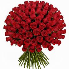 Букет Красные розы Чери Лав #REPLACE_PRED# Посёлок совхоза Красковский