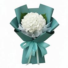 Букет цветов из:  Гортензия в Посёлок совхоза Красковский